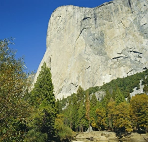Yosemite National Park Landmark Drucke: El Capitan