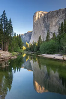 El Capitan Yosemite Drucke: El Capitan reflected in the River Merced at dawn