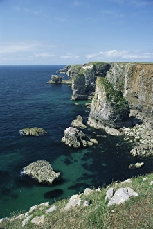 Wales Travel Destination Drucke: Elegug Stacks