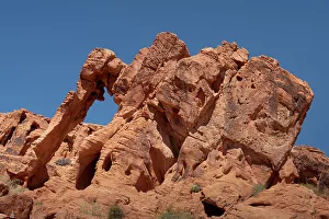 Roter Felsberg ist eine natürliche Felsformation im Red Cliffs Desert Conservation Area des Valley of Fire State Park in den Vereinigten Staaten von Amerika