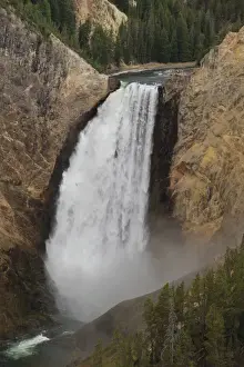 Lower Falls Wyoming Drucke: Elevated view of Lower Falls and viewing platform with visitors