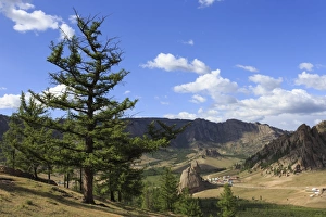 Mongolia National Parks Drucke: Elevated view towards Turtle Rock and distant mountains, busy with visitors in summer