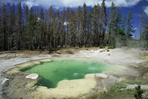 UNESCO World Heritage Site America Drucke: Emerald Spring