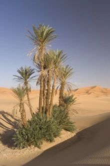 Morocco Desert Landscapes Drucke: Erg Chebbi