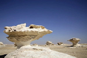 White Desert Egypt Drucke: Eroded rock formations in the White Desert, Egypt, North Africa, Africa