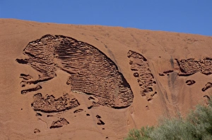 World Heritage Site Landscapes Drucke: Erosion pattern, Uluru (Ayers Rock), UNESCO World heritage Site, Northern Territory