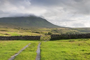 Yorkshire Dales Landscape Photography Drucke: Evening light at Ingleborough Mountain