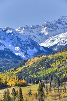 Farben der Herbstzeitlose auf dem Weg 7 im Hintergrund des Sniefris Ranges nahe Ouray in Kolorado USA