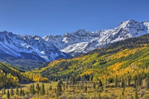 Farben des Herbstes, von der Straße 7, Sneffle Range im Hintergrund, in der Nähe von Ouray, Colorado, Vereinigte Staaten.