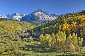 Farben der Herbstzeitlose am Straße 7 im Hintergrund des Sneffels-Ranges bei Ouray im Bundesstaat Colorado