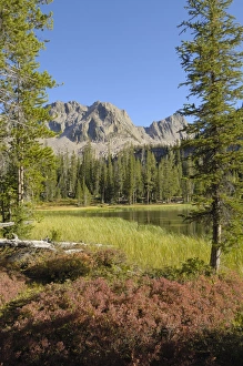 North America Nature Images Drucke: Fall colours around Lower Cramer Lake, Sawtooth Mountains, Sawtooth Wilderness