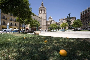 Mediterranean Architecture Europe Drucke: fallen orange