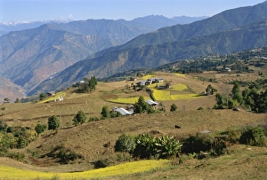 Bhutan Landscape Photography Drucke: Farmed fields in mountainous landscape, eastern Bhutan, Asia
