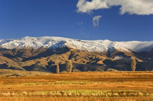 New Zealand Mountain Landscapes Drucke: Farmland and Dunstan Range