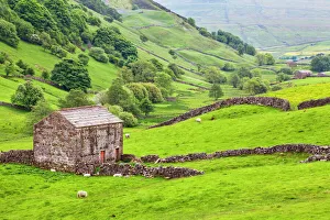 Schafe Drucke: Bauernhof unter dem Feld nahe der Kisdon-Höhe bei Angram im Swaledale im Nationalpark Yorkshire Dales im Vereinigten