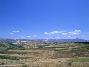 Mediterranean Europe Travel Destination Drucke: Fields, island of Sicily
