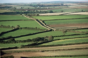 UK Rural Landscapes Drucke: Fields near St. Austell, Cornwall, England, United Kingdom, Europe