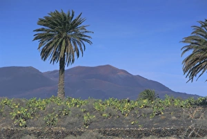 South West Europe Travel Guide Drucke: Fire Mountain
