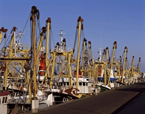 European Fishing Vessels Drucke: Fishing fleet