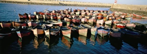 African Coastal Scene Drucke: Fishing harbour