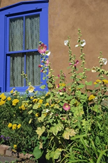 Vertical Landscape Images Drucke: Flower bed and window