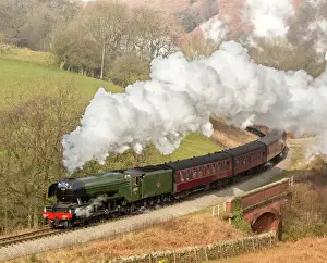 Drucke von Der Dampflokomotiv Flyingscotsman erreicht die Haltestation Goathland auf der Nordbahnhof Eisenbahn in Yorkshirde Norden Englisch Vereinigtes Königreich Europa Vereinigtes Königreich Drucke: Der Flyingschottlander arriveert am Bahnhof Goathland auf der Nordbahnhöfen Eisenbahn