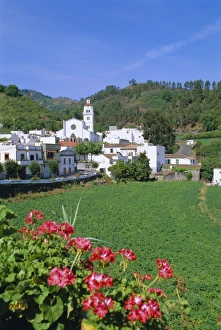 Gran Canaria Landscape Drucke: Fontanales