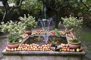 Nature Photography In Spain Drucke: Fountain with apples