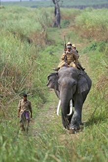 Kaziranga National Park India Drucke: Game guards patrolling on elephant back