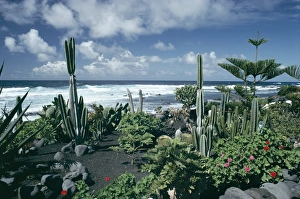 Sunny Mediterranean Landscape Drucke: Garden by the Atlantic ocean