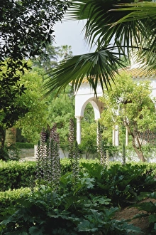 Historical Landmark Photography Drucke: The gardens from the palace wall