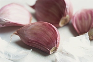 Vegetable Photography Ideas Drucke: Garlic cloves
