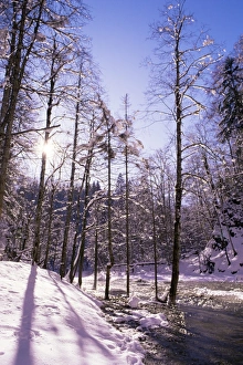 European Ski Resorts Drucke: Garmisch-Partenkichen