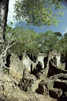 East Africa Tourism Drucke: Gedi ruins