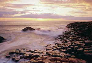 Northern Ireland Landscape Drucke: The Giants Causeway