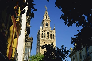 Giralda Tower Spain Drucke: The Giralda framed by trees