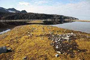 Svalbard Photography Drucke: Glacial scree, foreshore, Trinity Hamn, Magdalenefjord, Svalbard
