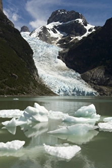 Patagonia Glacier Drucke: Glaciar Serrano (Serrano Glacier)
