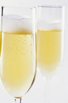 White Background Glassware Drucke: Glasses of Champagne