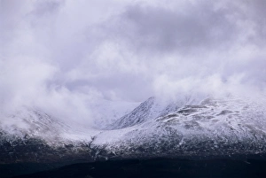 Highland Region Travel Destination Drucke: Glen Garry Forest