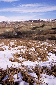 UK Photography Drucke: Glen Lednoch