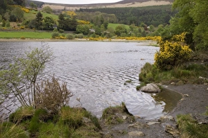 Wicklow County Landscape Drucke: Glendalough