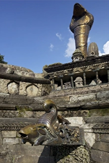 Asia Travel Destination Images Drucke: Goat
