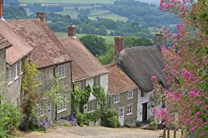 Goldhügel im Juni in Shaftsbyre (Shaftesbury), Dorset (Dorset), England (England) und Großbritannien (United Kingdom) und Europa