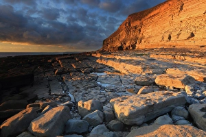 UK Coastal Photography Drucke: Golden evening light on limestone cliffs