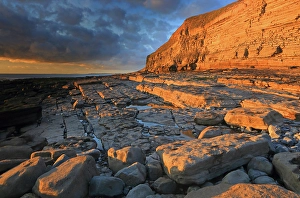 Welsh Coastline Photography Drucke: Golden evening light on the limestone cliffs