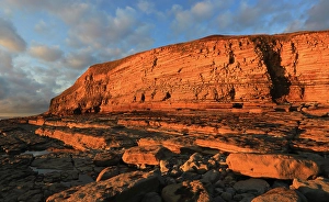 Wales Coastal Views Drucke: Golden evening light on the limestone cliffs
