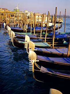 Gondolas On The Grand Canal Drucke: Gondolas at dusk