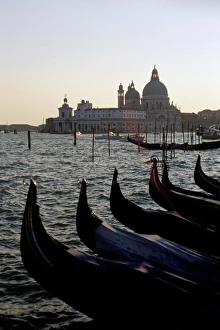 Drucke von Kahnpaddelboote und S.Maria Salute in Venedig im Regionen Venetien Italien Europa Verwandte Bilder Drucke: Kahnboote und S