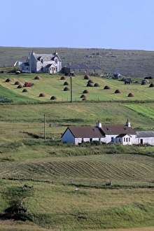 Scottish Countryside Images Drucke: Good example of land use, Burrafirth, Unst, Shetland Islands, Scotland